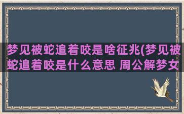 梦见被蛇追着咬是啥征兆(梦见被蛇追着咬是什么意思 周公解梦女人)